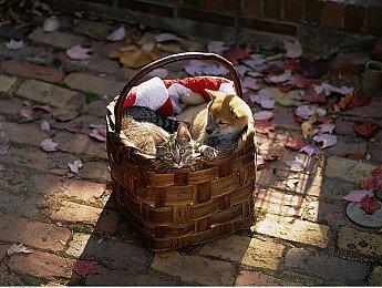 《星之海洋6》公布新角色预告 游戏10月27日发售